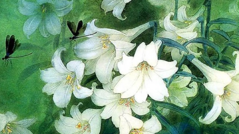 'Ám ảnh tháng tư' gửi vào cõi nhớ ngày Thanh minh