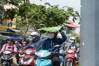 <a href="/trai-dat-xanh" title="Trái đất xanh" rel="dofollow">Trái đất xanh</a>