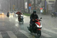 <a href="/trai-dat-xanh" title="Trái đất xanh" rel="dofollow">Trái đất xanh</a>