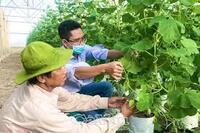 <a href="/phat-trien-ben-vung" title="Phát triển bền vững" rel="dofollow">Phát triển bền vững</a>
