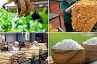 <a href="/phat-trien-ben-vung" title="Phát triển bền vững" rel="dofollow">Phát triển bền vững</a>