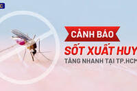 <a href="/doi-song/suc-khoe" title="Sức khỏe" rel="dofollow">Sức khỏe</a>