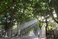 <a href="/trai-dat-xanh" title="Trái đất xanh" rel="dofollow">Trái đất xanh</a>