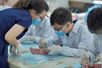 <a href="/doi-song/giao-duc" title="Giáo dục" rel="dofollow">Giáo dục</a>