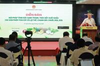 <a href="/phat-trien-ben-vung" title="Phát triển bền vững" rel="dofollow">Phát triển bền vững</a>