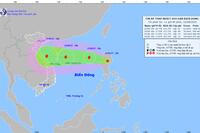 <a href="/trai-dat-xanh" title="Trái đất xanh" rel="dofollow">Trái đất xanh</a>