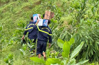 <a href="/thoi-su/trong-nuoc" title="Trong nước" rel="dofollow">Trong nước</a>