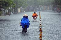 <a href="/trai-dat-xanh" title="Trái đất xanh" rel="dofollow">Trái đất xanh</a>