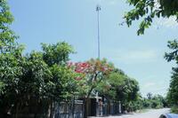 <a href="/doi-song" title="Đời sống" rel="dofollow">Đời sống</a>