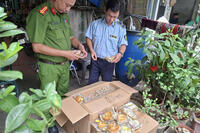 <a href="/doi-song/phap-luat" title="Pháp luật" rel="dofollow">Pháp luật</a>
