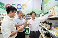 <a href="/ocop" title="OCOP" rel="dofollow">OCOP</a>