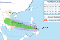 <a href="/trai-dat-xanh" title="Trái đất xanh" rel="dofollow">Trái đất xanh</a>