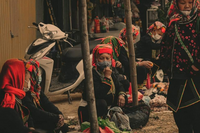 <a href="/ocop" title="OCOP" rel="dofollow">OCOP</a>