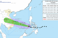 <a href="/trai-dat-xanh" title="Trái đất xanh" rel="dofollow">Trái đất xanh</a>