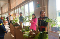 <a href="/ocop" title="OCOP" rel="dofollow">OCOP</a>