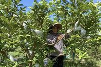 <a href="/ocop" title="OCOP" rel="dofollow">OCOP</a>