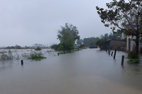 <a href="/trai-dat-xanh" title="Trái đất xanh" rel="dofollow">Trái đất xanh</a>