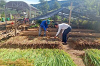 <a href="/phat-trien-ben-vung" title="Phát triển bền vững" rel="dofollow">Phát triển bền vững</a>