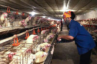 <a href="/phat-trien-ben-vung" title="Phát triển bền vững" rel="dofollow">Phát triển bền vững</a>