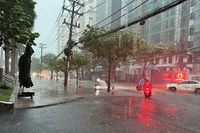 <a href="/trai-dat-xanh" title="Trái đất xanh" rel="dofollow">Trái đất xanh</a>