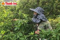 <a href="/phat-trien-ben-vung" title="Phát triển bền vững" rel="dofollow">Phát triển bền vững</a>