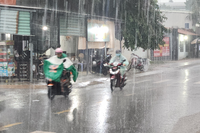 <a href="/trai-dat-xanh" title="Trái đất xanh" rel="dofollow">Trái đất xanh</a>