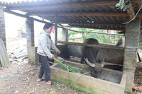 <a href="/phat-trien-ben-vung" title="Phát triển bền vững" rel="dofollow">Phát triển bền vững</a>