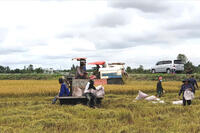 <a href="/phat-trien-ben-vung" title="Phát triển bền vững" rel="dofollow">Phát triển bền vững</a>