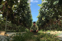 <a href="/phat-trien-ben-vung" title="Phát triển bền vững" rel="dofollow">Phát triển bền vững</a>