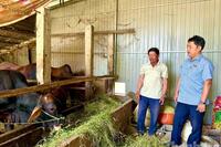 <a href="/phat-trien-ben-vung" title="Phát triển bền vững" rel="dofollow">Phát triển bền vững</a>