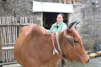 <a href="/phat-trien-ben-vung" title="Phát triển bền vững" rel="dofollow">Phát triển bền vững</a>