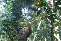 <a href="/phat-trien-ben-vung" title="Phát triển bền vững" rel="dofollow">Phát triển bền vững</a>