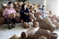 <a href="/phat-trien-ben-vung" title="Phát triển bền vững" rel="dofollow">Phát triển bền vững</a>