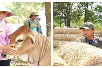 <a href="/phat-trien-ben-vung" title="Phát triển bền vững" rel="dofollow">Phát triển bền vững</a>