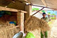 <a href="/phat-trien-ben-vung" title="Phát triển bền vững" rel="dofollow">Phát triển bền vững</a>