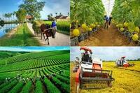 <a href="/phat-trien-ben-vung" title="Phát triển bền vững" rel="dofollow">Phát triển bền vững</a>