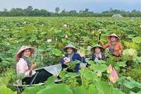 <a href="/phat-trien-ben-vung" title="Phát triển bền vững" rel="dofollow">Phát triển bền vững</a>