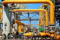 <a href="/spider" title="Spider" rel="dofollow">Spider</a>