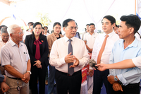 <a href="/nang-luong-xanh" title="Năng lượng xanh" rel="dofollow">Năng lượng xanh</a>