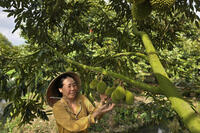 <a href="/phat-trien-ben-vung" title="Phát triển bền vững" rel="dofollow">Phát triển bền vững</a>