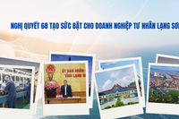 <a href="/phat-trien-ben-vung" title="Phát triển bền vững" rel="dofollow">Phát triển bền vững</a>