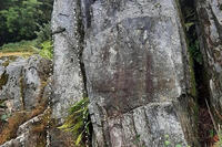 <a href="/thoi-su" title="Thời sự" rel="dofollow">Thời sự</a>