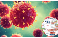 <a href="/doi-song/suc-khoe" title="Sức khỏe" rel="dofollow">Sức khỏe</a>