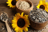 <a href="/doi-song/suc-khoe" title="Sức khỏe" rel="dofollow">Sức khỏe</a>