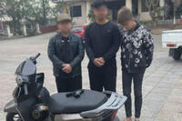 <a href="/doi-song/phap-luat" title="Pháp luật" rel="dofollow">Pháp luật</a>