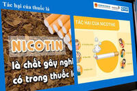 <a href="/doi-song/giao-duc" title="Giáo dục" rel="dofollow">Giáo dục</a>