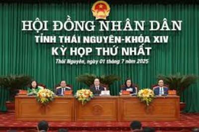 Thái Nguyên kiện toàn bộ máy, đảm bảo hoạt động hiệu quả thông suốt