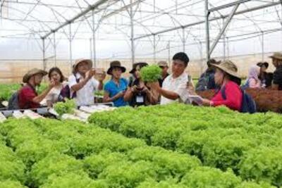 Ninh Bình phát triển kinh tế nông nghiệp theo hướng hiện đại