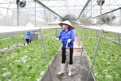 Đẩy mạnh sản xuất và tiêu dùng bền vững trên địa bàn thành phố Hà Nội