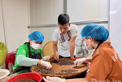 Đắk Lắk: Khi tăng lương tối thiểu trở thành lực đẩy đổi mới doanh nghiệp